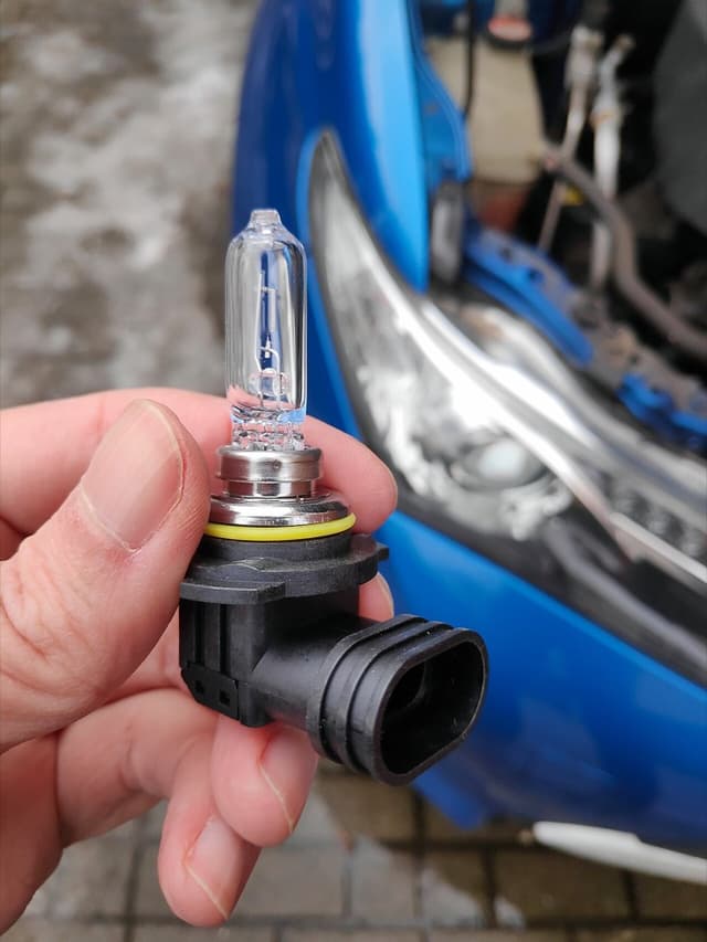 Bulb kit